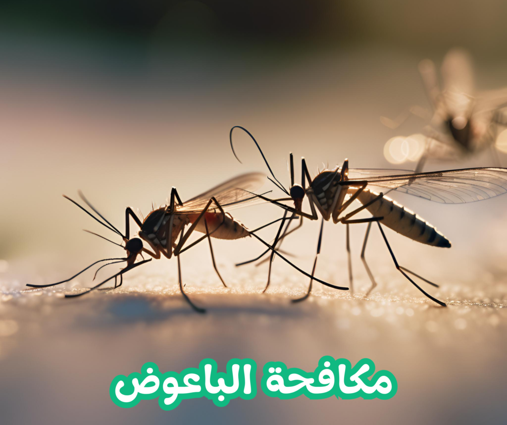 مكافحة الباعوض 01022208668