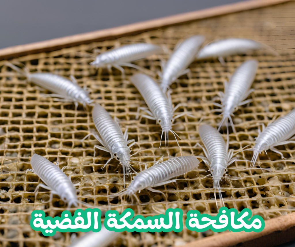 مكافحة السمكة الفضية 01022208668
