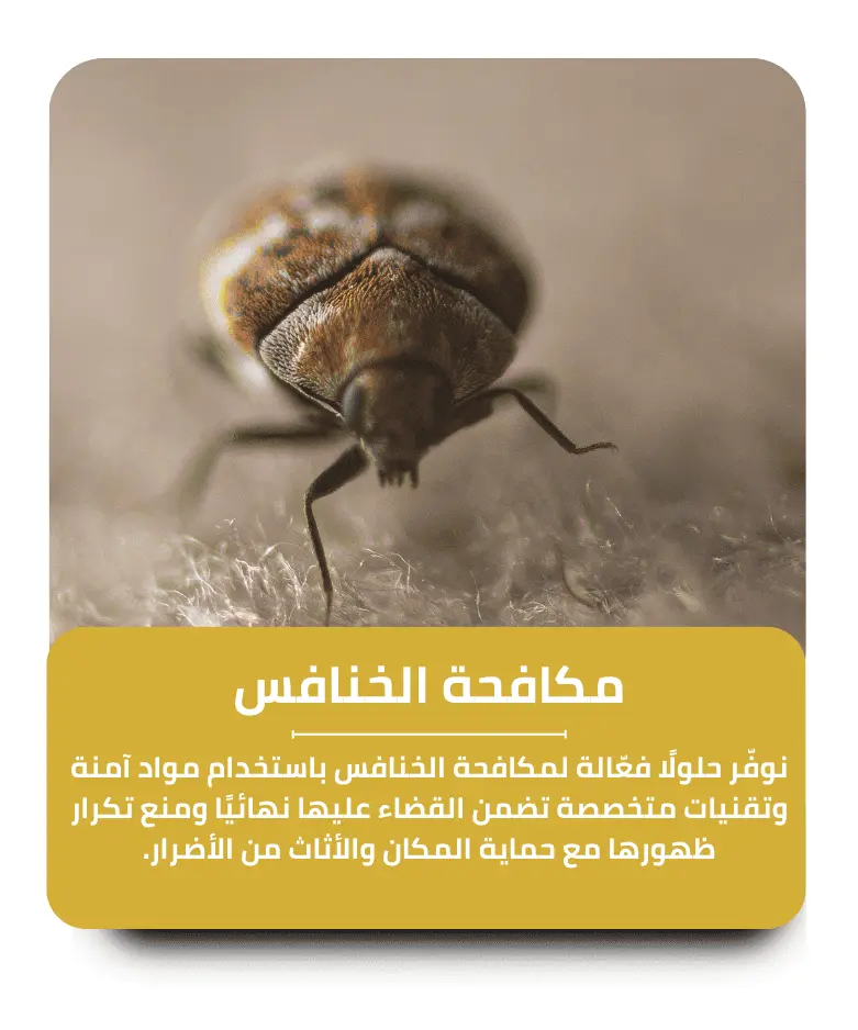 مكافحة الخنافس