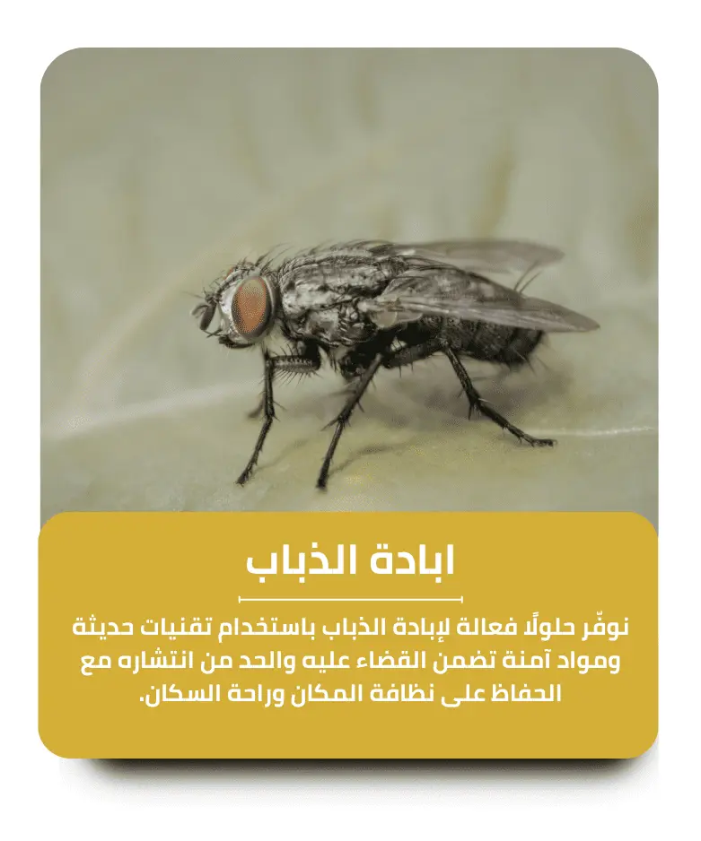 مكافحة الذباب