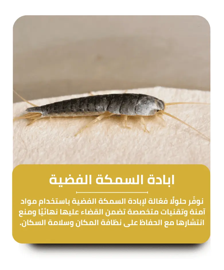 مكافحة السمكة الفضية