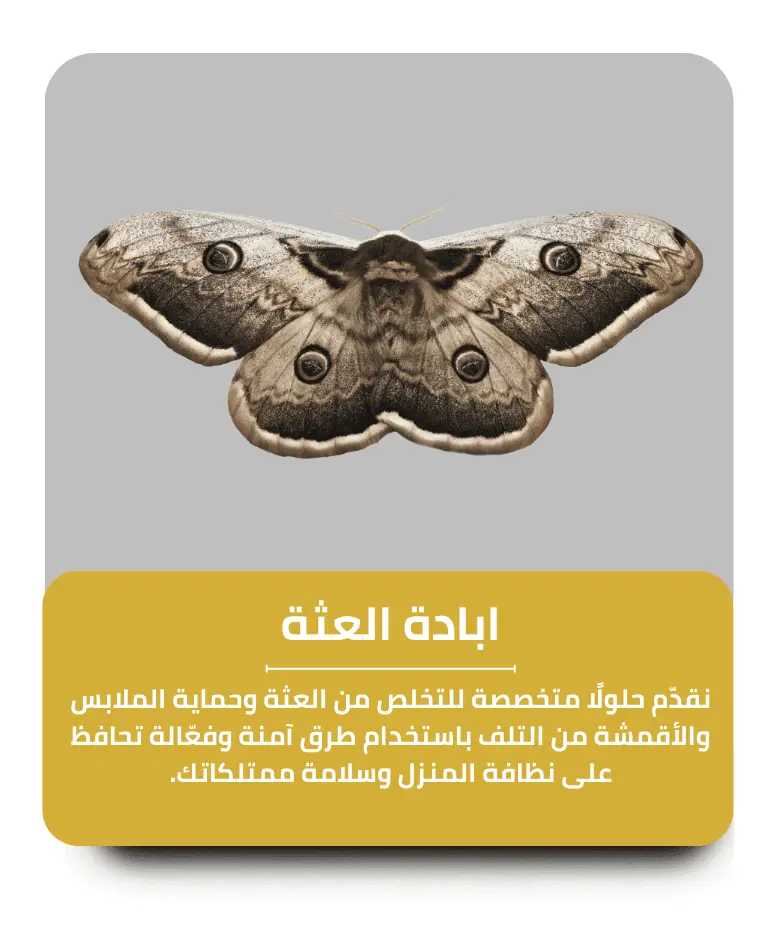 مكافحة العثة