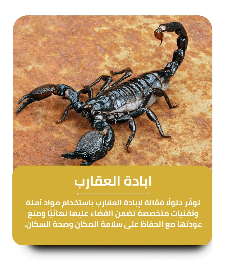 مكافحة العقارب