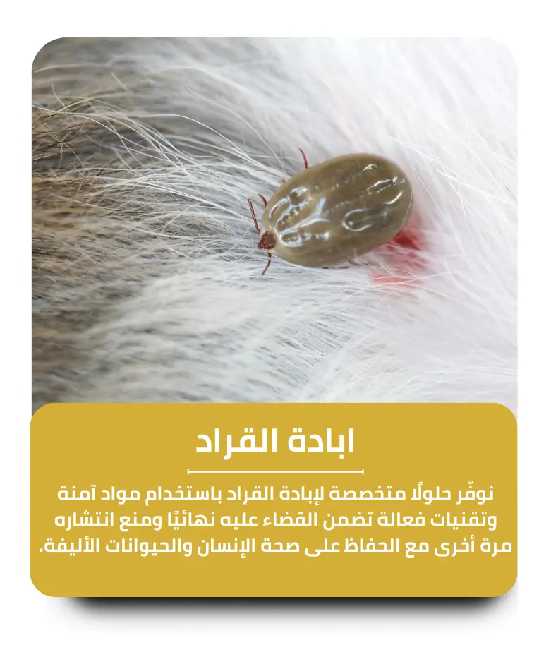 مكافحة القراد