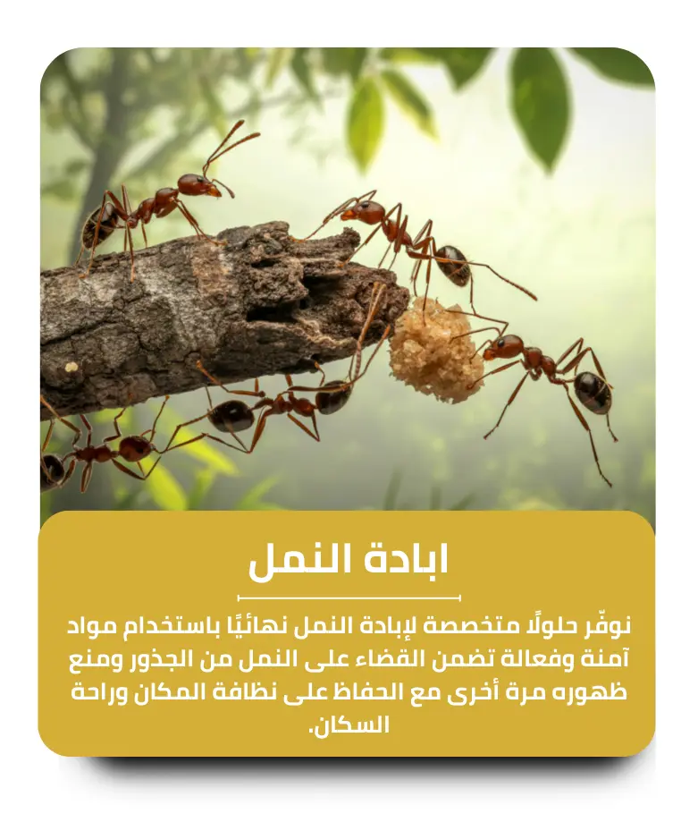 مكافحة النمل