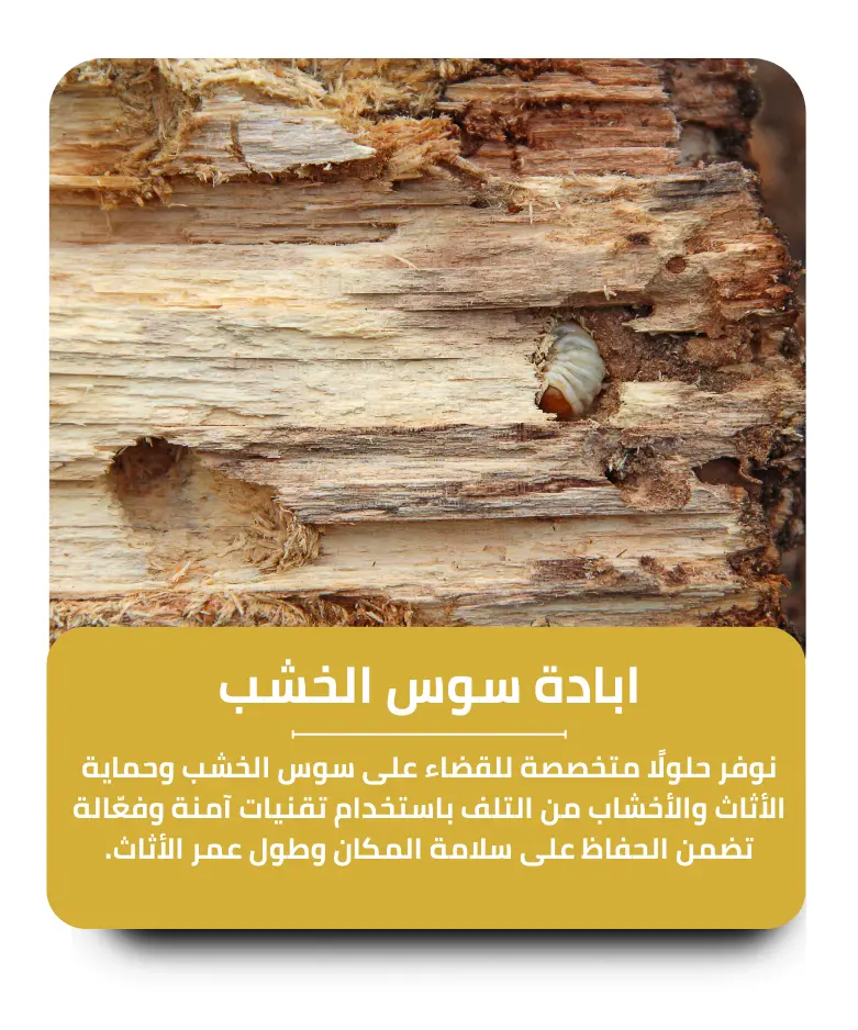مكافحة سوس الخشب