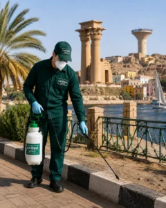شركة مكافحة حشرات في أسوان