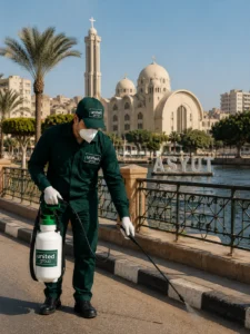 شركة مكافحة حشرات في أسيوط