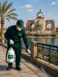 شركة مكافحة حشرات في الفيوم